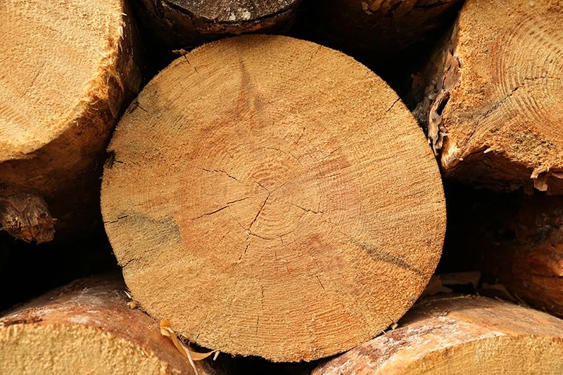 stacked-firewood-as-background-closeup-heating-i-2026-01-30-19-38-21-utc stacked-firewood-as-background-closeup-heating-i-2026-01-30-19-38-21-utc